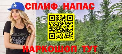 крисы Кинель